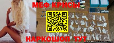 стаф Краснодар