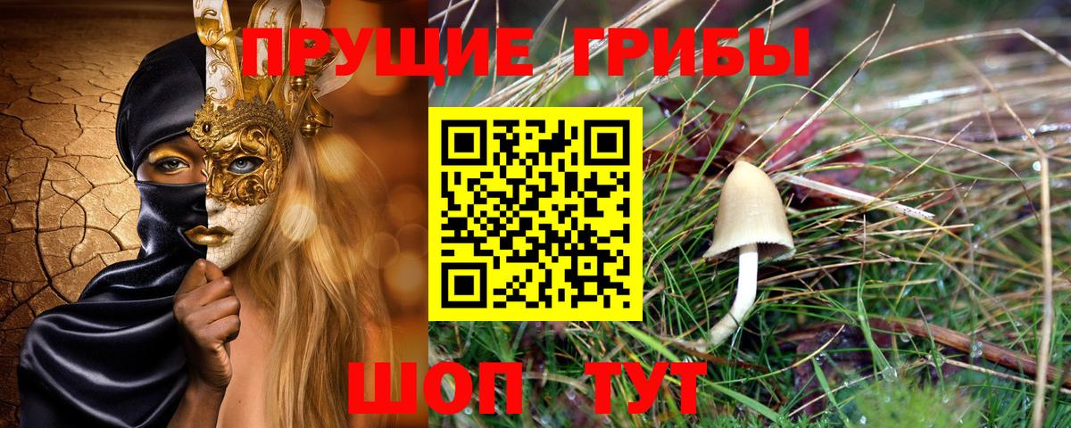 Галлюциногенные грибы GOLDEN TEACHER  Вход с VPN  Галлюциногенные грибы Cubensis  Ижевск 
